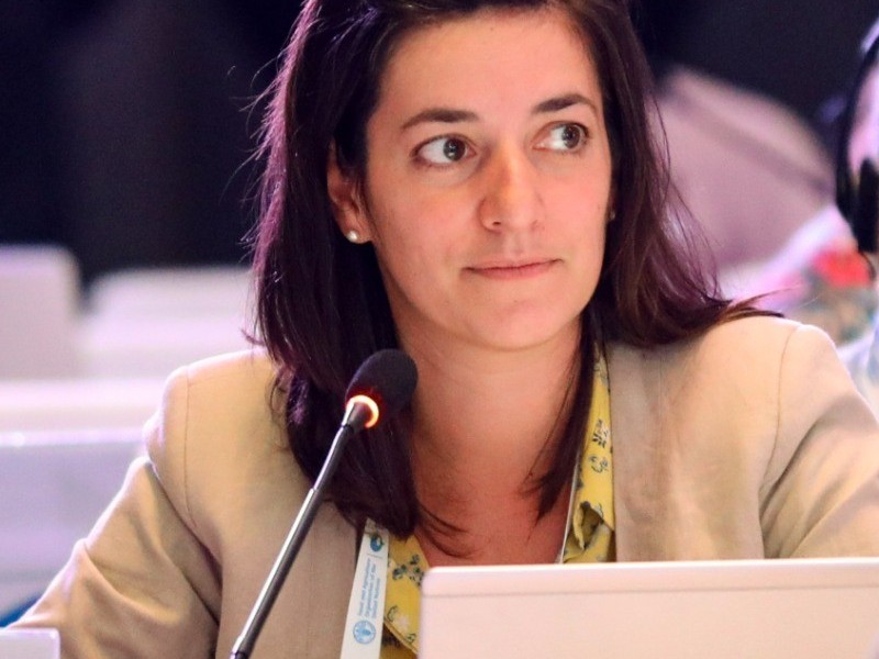  H. (Hélène) Guillot