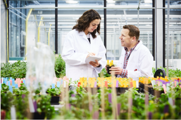 SMART Plants in Dynamic Environments