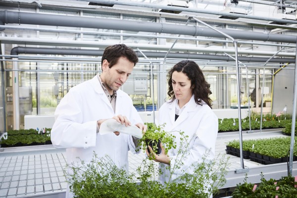 Partner in the spotlight - CEPLAS