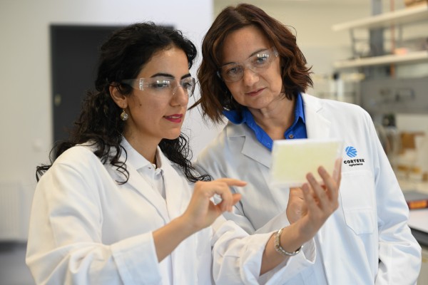 From Pilot to Product: What Makes Startup–Corporate Collaboration Work in Agriculture