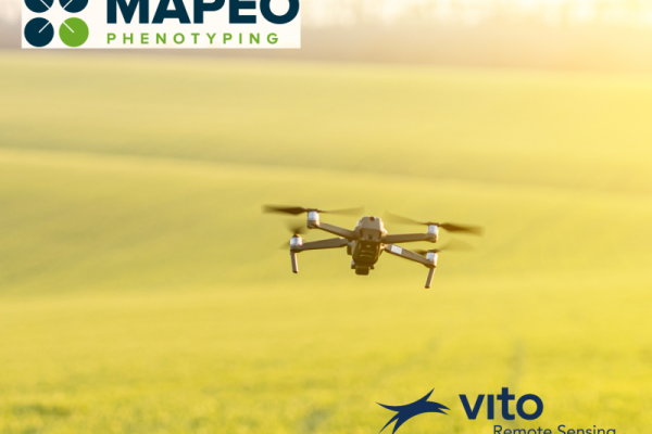 VITO's Cost-Effective Drone Phenotyping Takes Agriculture to New Heights