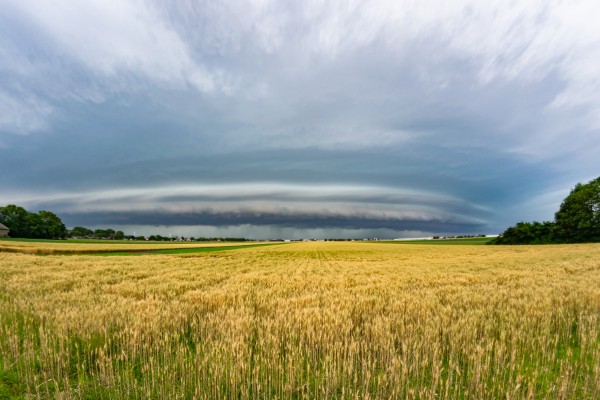 Future Climate data for today’s decisions - introducing the CLIMTAG toolbox