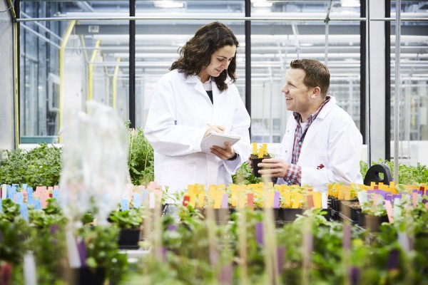 CEPLAS - SMART Plants for Tomorrow’s Needs