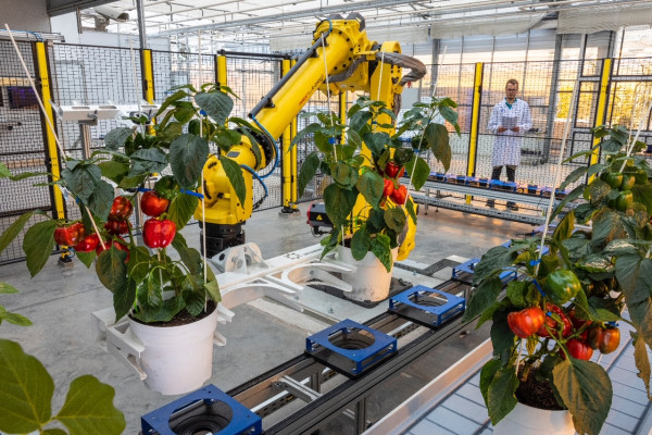 VIB Agro-Incubator: where small ideas grow big