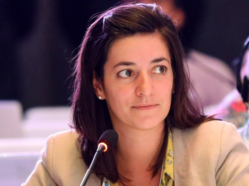  H. (Hélène) Guillot