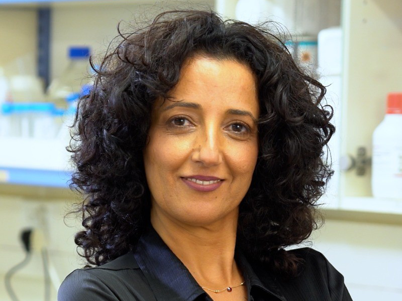  K. (Kinneret) Shefer