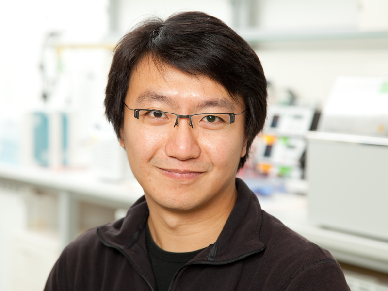 Prof. dr. F. (Frank) Chan