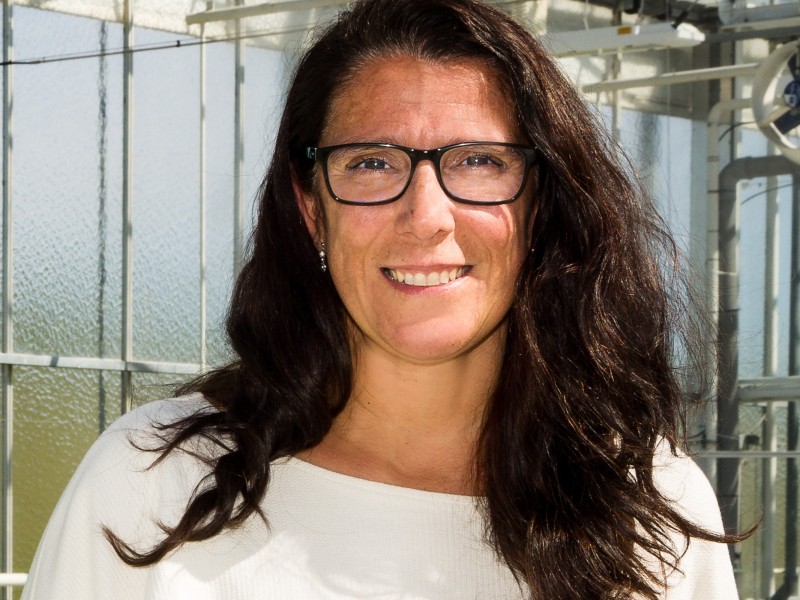  Dr. (Xana) Verweij