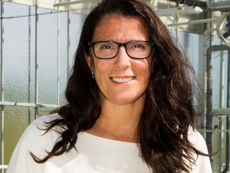  Dr. (Xana) Verweij