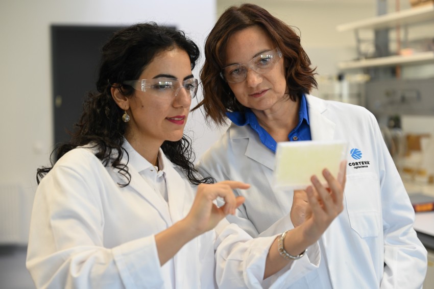 From Pilot to Product: What Makes Startup–Corporate Collaboration Work in Agriculture