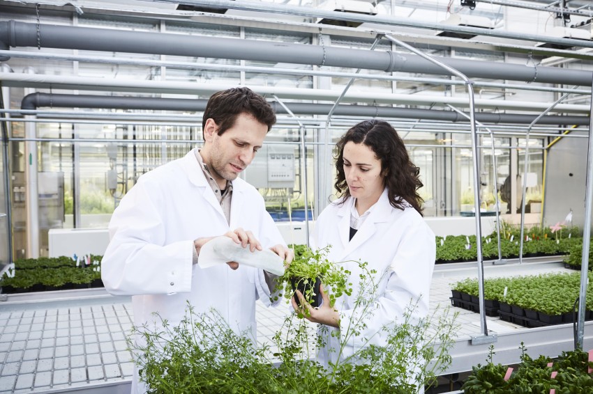 Partner in the spotlight - CEPLAS