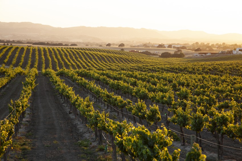 Seed Deposits Continue to Sow Discord