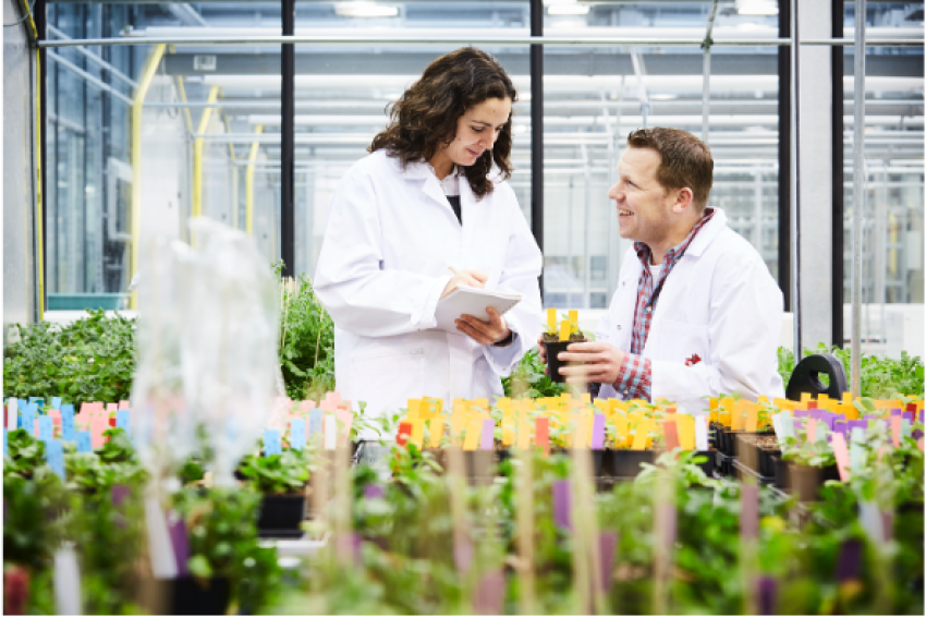 SMART Plants in Dynamic Environments