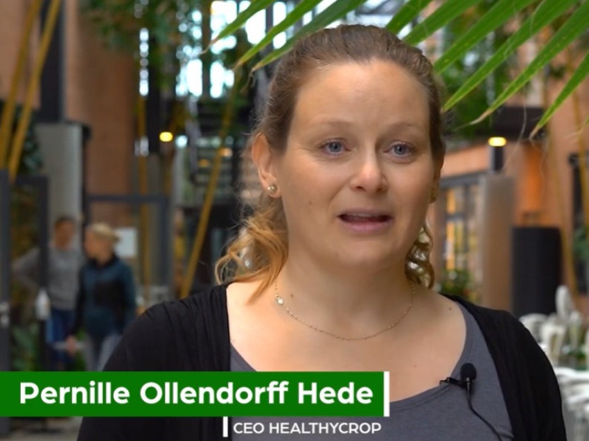 Meet Healthycrop.world, a spin out from University of Aarhus (Denmark), the 3rd pitching company to be announced.