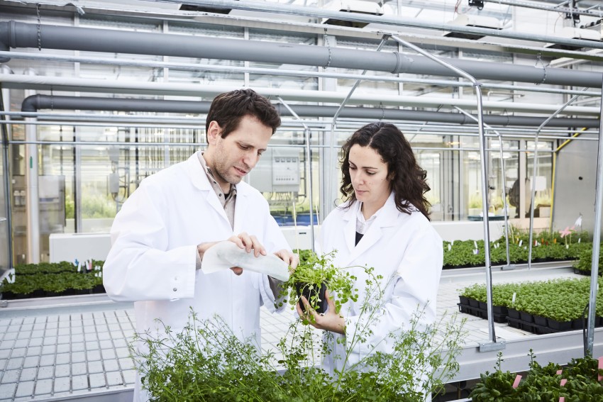Partner in the spotlight - CEPLAS