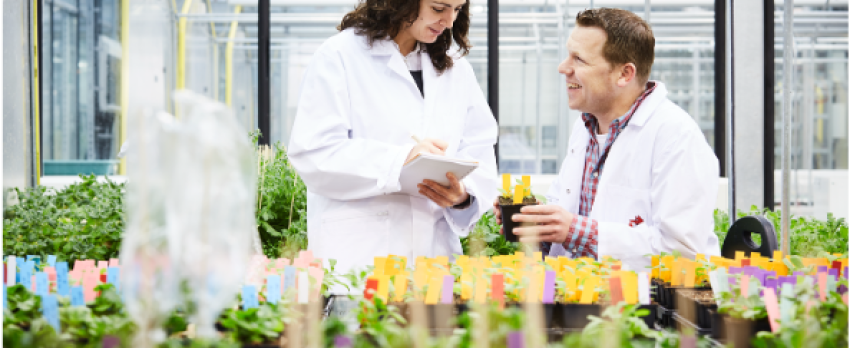 SMART Plants in Dynamic Environments