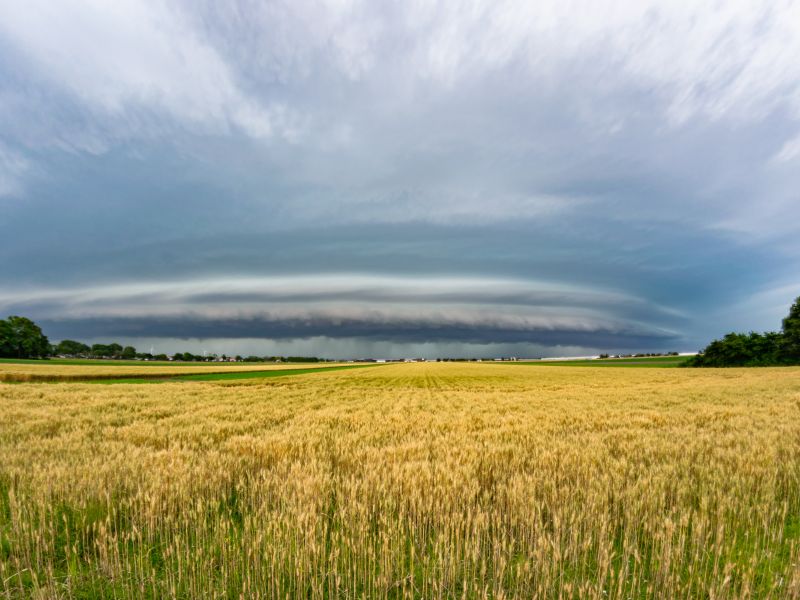 Future Climate data for today’s decisions - introducing the CLIMTAG toolbox