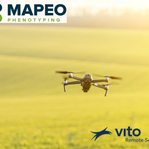 VITO's Cost-Effective Drone Phenotyping Takes Agriculture to New Heights picture