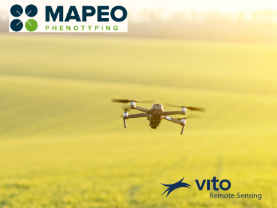 VITO's Cost-Effective Drone Phenotyping Takes Agriculture to New Heights