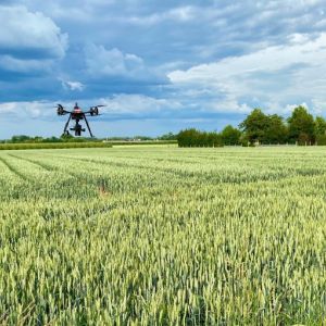 Integrating digital phenotyping tools in your day to day operations picture