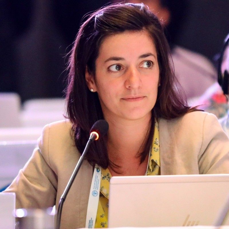 Profile picture H. (Hélène) Guillot