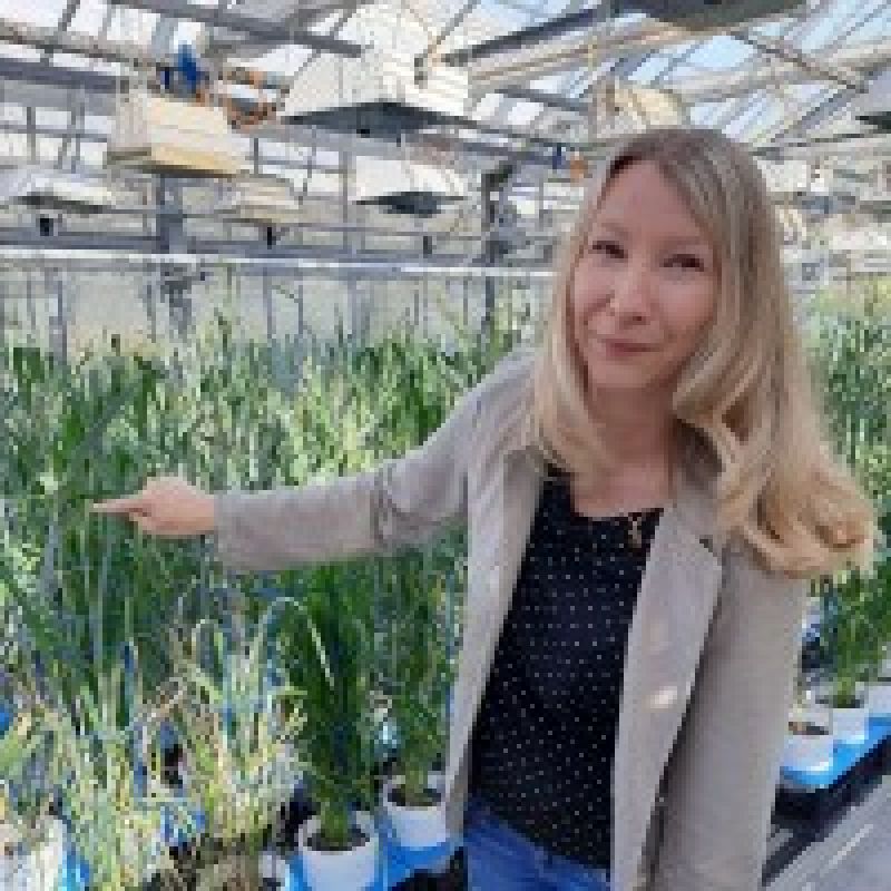 Profile picture Dr. K. (Kerstin) Neumann