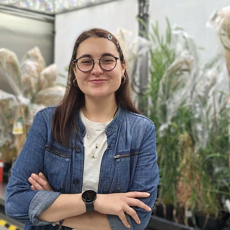 Profile picture K. (Kumsal) Çolpan