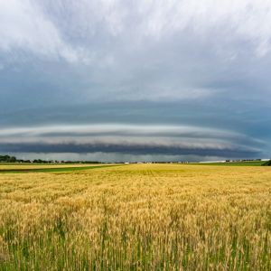Future Climate data for today’s decisions - introducing the CLIMTAG toolbox picture