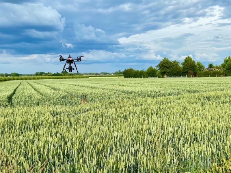 Integrating digital phenotyping tools in your day to day operations